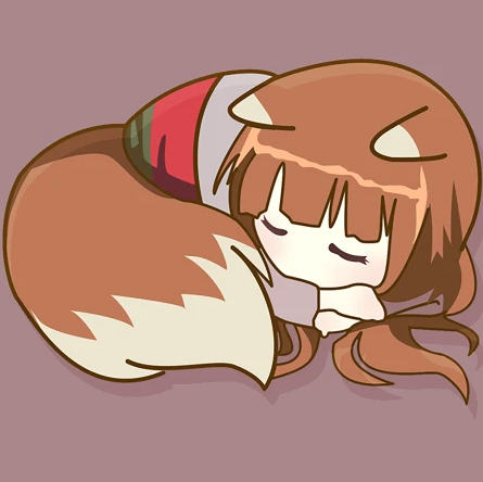 Holo Sleeping